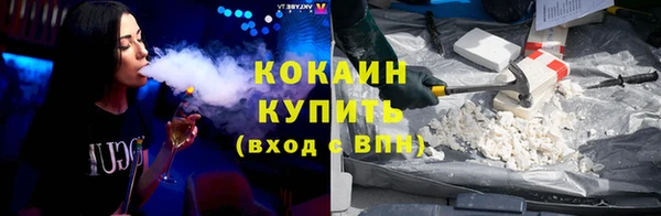 шишки Фурманов