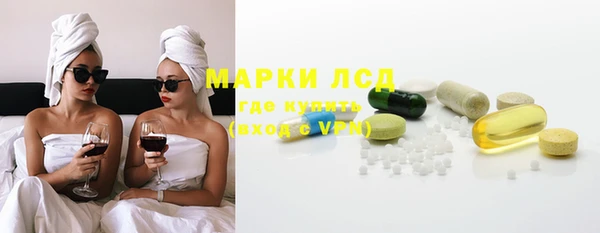 прущие грибы Болотное