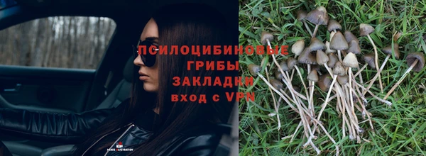 твердый Белая Холуница