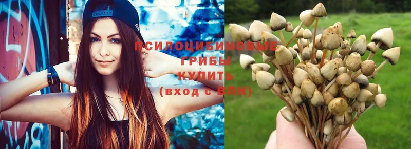 Псилоцибиновые грибы мицелий  мега как войти  Вольск 